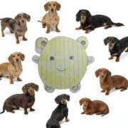 ヒメ日記 2025/11/21 19:16 投稿 ここあ【池下店から特別出勤‼】 THE ESUTE HOUSE 柴田