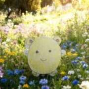 ヒメ日記 2025/11/30 22:06 投稿 ここあ【池下店から特別出勤‼】 THE ESUTE HOUSE 柴田