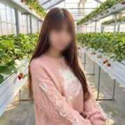 ヒメ日記 2026/01/15 05:16 投稿 ここあ【池下店から特別出勤‼】 THE ESUTE HOUSE 柴田