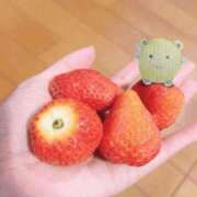 ヒメ日記 2026/01/28 20:46 投稿 ここあ【池下店から特別出勤‼】 THE ESUTE HOUSE 柴田