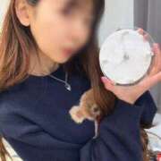 ヒメ日記 2026/02/10 04:16 投稿 ここあ【池下店から特別出勤‼】 THE ESUTE HOUSE 柴田