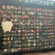 ヒメ日記 2026/02/12 19:26 投稿 ここあ【池下店から特別出勤‼】 THE ESUTE HOUSE 柴田