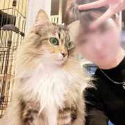 ヒメ日記 2026/02/23 20:18 投稿 ここあ【池下店から特別出勤‼】 THE ESUTE HOUSE 柴田