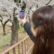 ヒメ日記 2026/03/02 05:16 投稿 ここあ【池下店から特別出勤‼】 THE ESUTE HOUSE 柴田