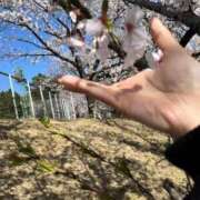 ヒメ日記 2026/03/27 12:16 投稿 ここあ【池下店から特別出勤‼】 THE ESUTE HOUSE 柴田