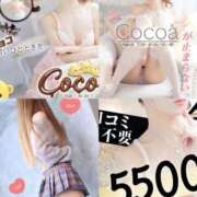 ヒメ日記 2026/04/02 21:12 投稿 ここあ【池下店から特別出勤‼】 THE ESUTE HOUSE 柴田