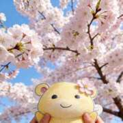 ヒメ日記 2026/04/03 20:28 投稿 ここあ【池下店から特別出勤‼】 THE ESUTE HOUSE 柴田