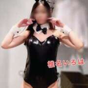 ヒメ日記 2025/04/25 06:58 投稿 椎名 いろは プルプルオフィスディーバ