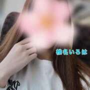 ヒメ日記 2025/08/05 10:28 投稿 椎名 いろは プルプルオフィスディーバ