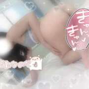 ヒメ日記 2025/02/28 15:07 投稿 なごみ OKINI八王子