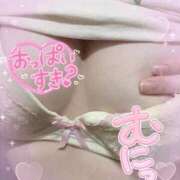 ヒメ日記 2025/03/24 19:07 投稿 なごみ OKINI八王子