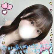 ヒメ日記 2025/03/28 12:21 投稿 なごみ OKINI八王子