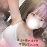 ヒメ日記 2025/04/22 07:18 投稿 なごみ OKINI八王子