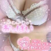 ヒメ日記 2025/04/22 19:17 投稿 なごみ OKINI八王子