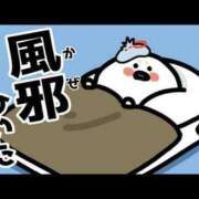 ヒメ日記 2025/07/30 15:18 投稿 なごみ OKINI八王子