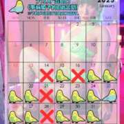 ヒメ日記 2025/01/14 18:32 投稿 有名人【うみにゃん】！ buzz-B