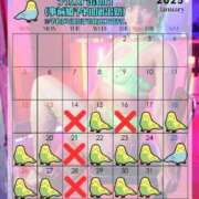 ヒメ日記 2025/01/17 21:30 投稿 有名人【うみにゃん】！ buzz-B