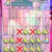 ヒメ日記 2025/01/27 21:30 投稿 有名人【うみにゃん】！ buzz-B