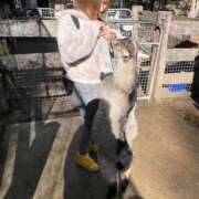 ヒメ日記 2025/08/30 12:15 投稿 有名人【うみにゃん】！ buzz-B