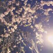 ヒメ日記 2025/04/07 10:53 投稿 まつり 川越ぷよステーション