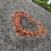 ヒメ日記 2025/06/11 10:38 投稿 まつり 川越ぷよステーション