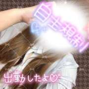 ヒメ日記 2025/02/13 15:51 投稿 まつり ぷよステーション大宮店