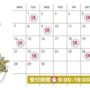 ヒメ日記 2025/03/24 14:37 投稿 鈴花 シャトーペトラ