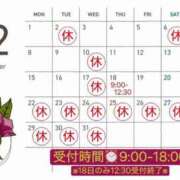 ヒメ日記 2025/11/23 20:30 投稿 鈴花 シャトーペトラ