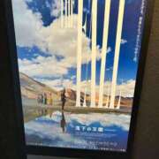 ヒメ日記 2025/12/14 16:45 投稿 らぶ ぷるるん小町日本橋店