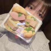 ヒメ日記 2026/03/14 01:30 投稿 らぶ ぷるるん小町日本橋店