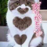 ヒメ日記 2025/03/08 10:34 投稿 れに Hip's千葉駅前店