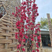 ヒメ日記 2025/04/13 12:34 投稿 れに Hip's千葉駅前店