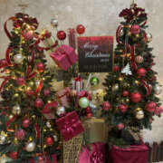 ヒメ日記 2025/12/13 10:05 投稿 さやか 奥鉄オクテツ東京店（デリヘル市場）