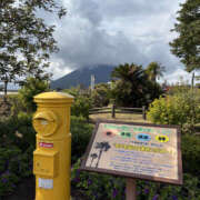 ヒメ日記 2026/01/18 12:45 投稿 さやか 奥鉄オクテツ東京店（デリヘル市場）