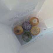 ヒメ日記 2025/01/26 05:47 投稿 きらり ベイキュート