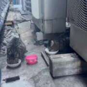 ヒメ日記 2025/01/31 18:47 投稿 きらり ベイキュート