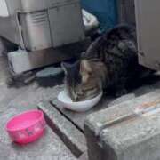 ヒメ日記 2025/03/13 14:07 投稿 きらり ベイキュート