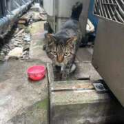 ヒメ日記 2025/04/06 20:27 投稿 きらり ベイキュート