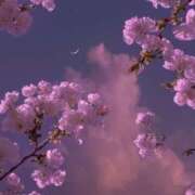 ヒメ日記 2025/02/20 20:45 投稿 えま luxury spa 風雅