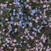 ヒメ日記 2025/02/28 11:30 投稿 えま luxury spa 風雅