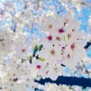 ヒメ日記 2025/03/22 18:45 投稿 えま luxury spa 風雅