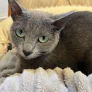 ヒメ日記 2026/02/23 20:29 投稿 えま luxury spa 風雅