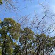 ヒメ日記 2026/03/22 00:20 投稿 えま luxury spa 風雅