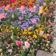 ヒメ日記 2026/04/04 20:12 投稿 えま luxury spa 風雅