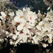 ヒメ日記 2026/04/05 22:01 投稿 えま luxury spa 風雅