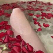 ヒメ日記 2025/07/03 04:00 投稿 まいら ミセス ファースト -お姉さん・若妻専門店-