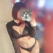 ヒメ日記 2025/01/16 19:06 投稿 せりか ドMな逆バニーちゃん　すすきの店