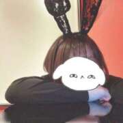 せりか 急遽💫 ドMな逆バニーちゃん　すすきの店