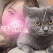 ヒメ日記 2025/01/30 14:17 投稿 宮本 華恋人(カレント)