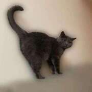 ヒメ日記 2025/02/12 15:39 投稿 宮本 華恋人(カレント)